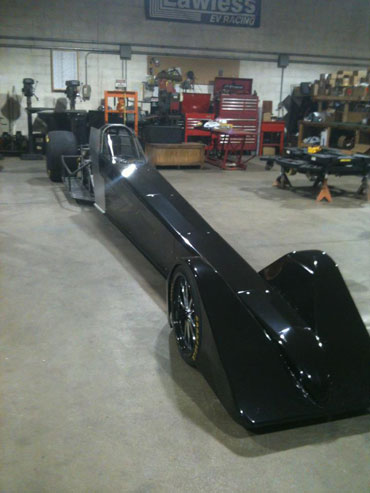 Swamp Rat 37