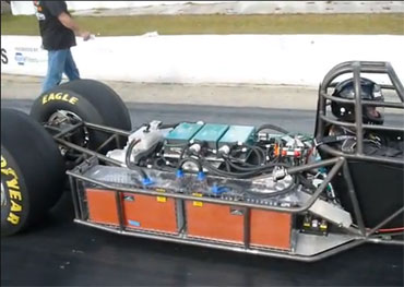 Swamp Rat Components